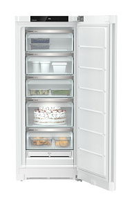 Европейский холодильник Liebherr FNe 4625 фото 3 фото 3