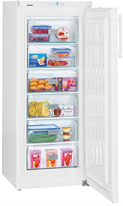Отдельностоящие холодильники Liebherr Liebherr GP 2433