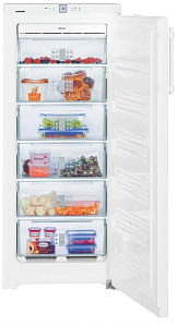 Отдельностоящие холодильники Liebherr Liebherr GNP 2356 фото 4 фото 4