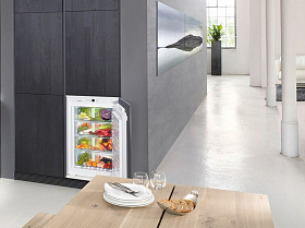 Невысокий однокамерный холодильник Liebherr SIBP 1650 фото 4 фото 4