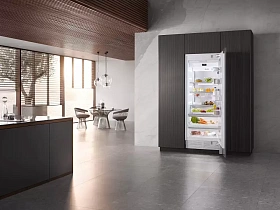 Большой встраиваемый холодильник Miele K 2802 Vi фото 2 фото 2
