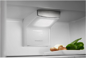 Двухкамерный холодильник no frost Electrolux RNS7TE18S фото 3 фото 3