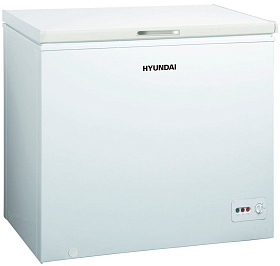 Отдельно стоящий холодильник Хендай Hyundai CH2505 фото 2 фото 2