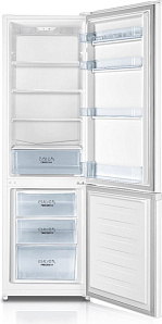 Высокий холодильник шириной 55 см Gorenje RK4181PW4 фото 3 фото 3