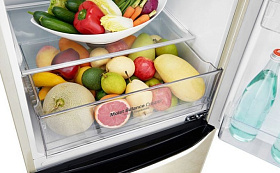 Двухкамерный холодильник  no frost LG GA-B419SYGL фото 3 фото 3