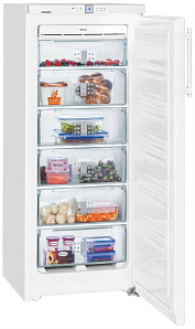 Отдельностоящие холодильники Liebherr Liebherr GNP 2356 фото 2 фото 2
