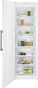 Холодильник  no frost Electrolux RUT5NF28W1 фото 2 фото 2