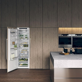 Встроенный холодильник с жестким креплением фасада  Asko R31831i фото 3 фото 3