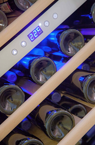 Напольный винный шкаф Cold Vine C 66-KSF2 фото 4 фото 4