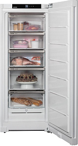 Однокамерный холодильник Liebherr FNf 4605 фото 3 фото 3