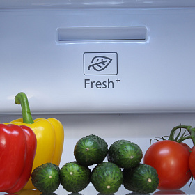 Холодильник Хендай с морозильной камерой Hyundai CS4502F белый фото 4 фото 4