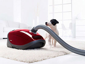 Красный пылесос Miele SGEA3 Complete C3 Cat&Dog ежевичный красный фото 2 фото 2
