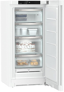Европейский холодильник Liebherr FNf 4204