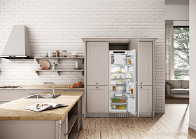 Немецкий двухкамерный холодильник Liebherr IRf 5101 фото 4 фото 4