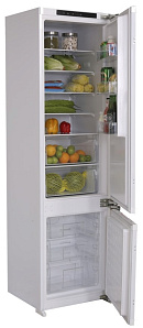Узкий двухкамерный холодильник с No Frost Ascoli ADRF310WEBI фото 4 фото 4