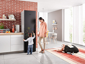 Высокий холодильник Miele KFN29283D bb фото 4 фото 4