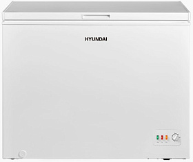 Отдельно стоящий холодильник Хендай Hyundai CH3005