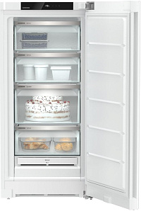 Однокамерный холодильник Liebherr FNf 4204 фото 3 фото 3