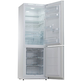 Холодильник  с морозильной камерой Snaige RF 36SM (P10027G)