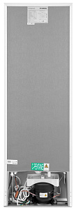 Узкий холодильник шириной до 50 см Hyundai CC2051WT белый фото 4 фото 4