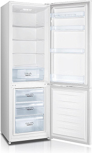 Высокий холодильник шириной 55 см Gorenje RK4181PW4 фото 2 фото 2