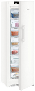 Холодильник  шириной 60 см Liebherr GN 4335 фото 2 фото 2