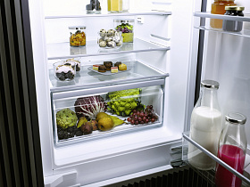 Однокамерный мини холодильник Miele K 7113 F фото 3 фото 3