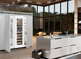 Встраиваемый двухдверный холодильник Liebherr SBSWgw 99I5 фото 4 фото 4