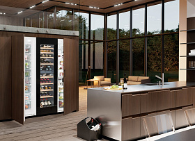 Встраиваемый двухдверный холодильник Liebherr SBSWgb 99I5