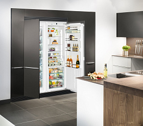 Однокамерный холодильник Liebherr IKB 3560 фото 4 фото 4