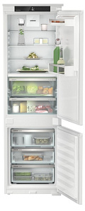 Двухкамерный холодильник Liebherr ICBNSe 5123