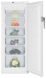 Белый холодильник Vestfrost VF 321 WGNF