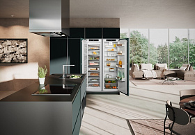 Встраиваемый высокий холодильник с No Frost Liebherr IXRF 5100 фото 4 фото 4