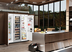 Холодильник с зоной свежести Liebherr SBSWdf 99I5