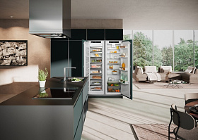 Холодильник с жестким креплением фасада  Liebherr IXRF 5100 фото 3 фото 3