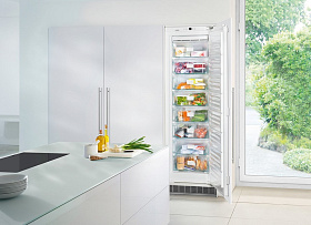 Встраиваемый однокамерный холодильник Liebherr SIGN 3524 фото 2 фото 2