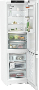 Европейский холодильник Liebherr CBNd 5723