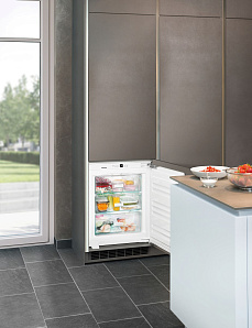 Встраиваемый однокамерный холодильник Liebherr IG 1024 фото 3 фото 3