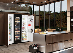Двухдверные холодильники Liebherr SBSWgb 99I5 фото 3 фото 3