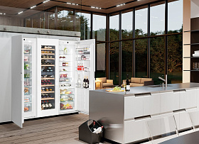 Встраиваемый двухстворчатый холодильник Liebherr SBSWgw 99I5 фото 2 фото 2