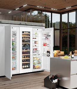 Двухдверные холодильники Liebherr SBSWgw 99I5 фото 3 фото 3