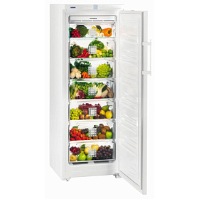 Холодильник с зоной свежести Liebherr B 2756
