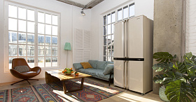 Бежевый холодильник шириной 90 см Sharp SJ-F95STBE фото 3 фото 3