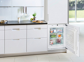 Встраиваемый однокамерный холодильник Liebherr IG 1024 фото 4 фото 4